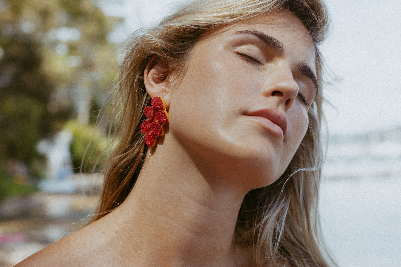 EBONY WINE RED EARRINGS